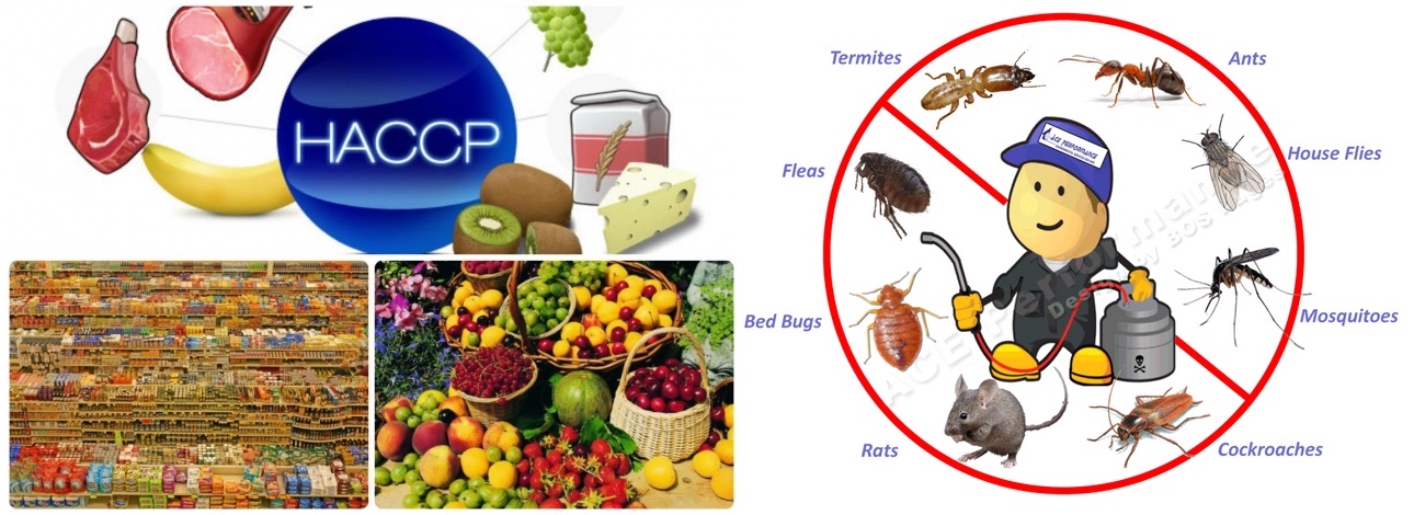 Процедури безпечності харчових продуктів. Інтегрована процедура захисту об'єктів операторів ринків харчових продуктів від шкідників у контексті НАССР